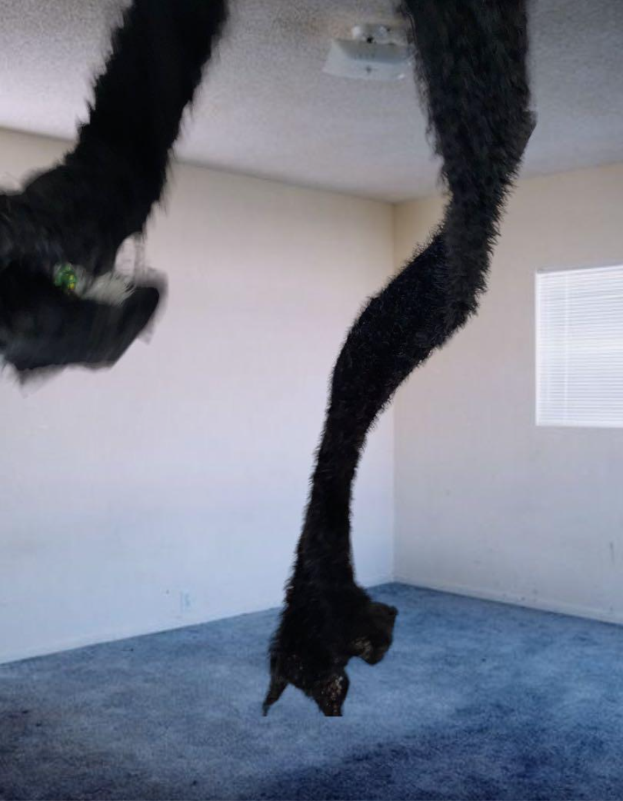 Screenshot 2023-12-01 at 11.17.38 AM.png